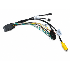 VideoOutput/IPC2/CAN2/PSwith Cable