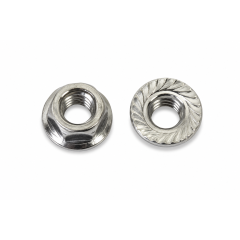 Hexagon Nut with Flange 304 6 (100)